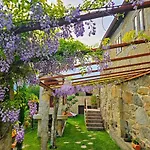 O Carballo Da Pedra *