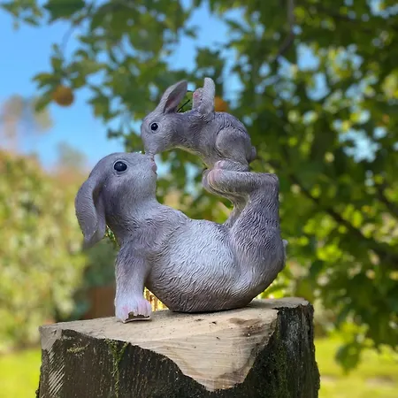 Vakantiehuis O Carballo Da Pedra *