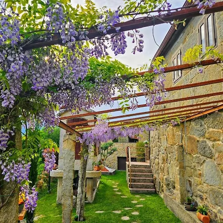 O Carballo Da Pedra *
