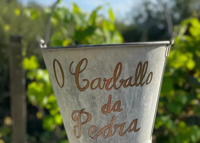 別荘 O Carballo Da Pedra